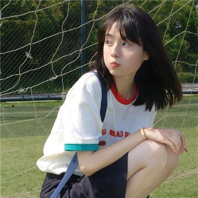 我和寻回犬的十个约定
